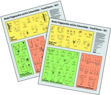 Travell Simons Trigger Point Flip Charts