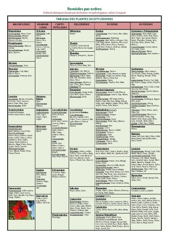 Tableau du règne végétal