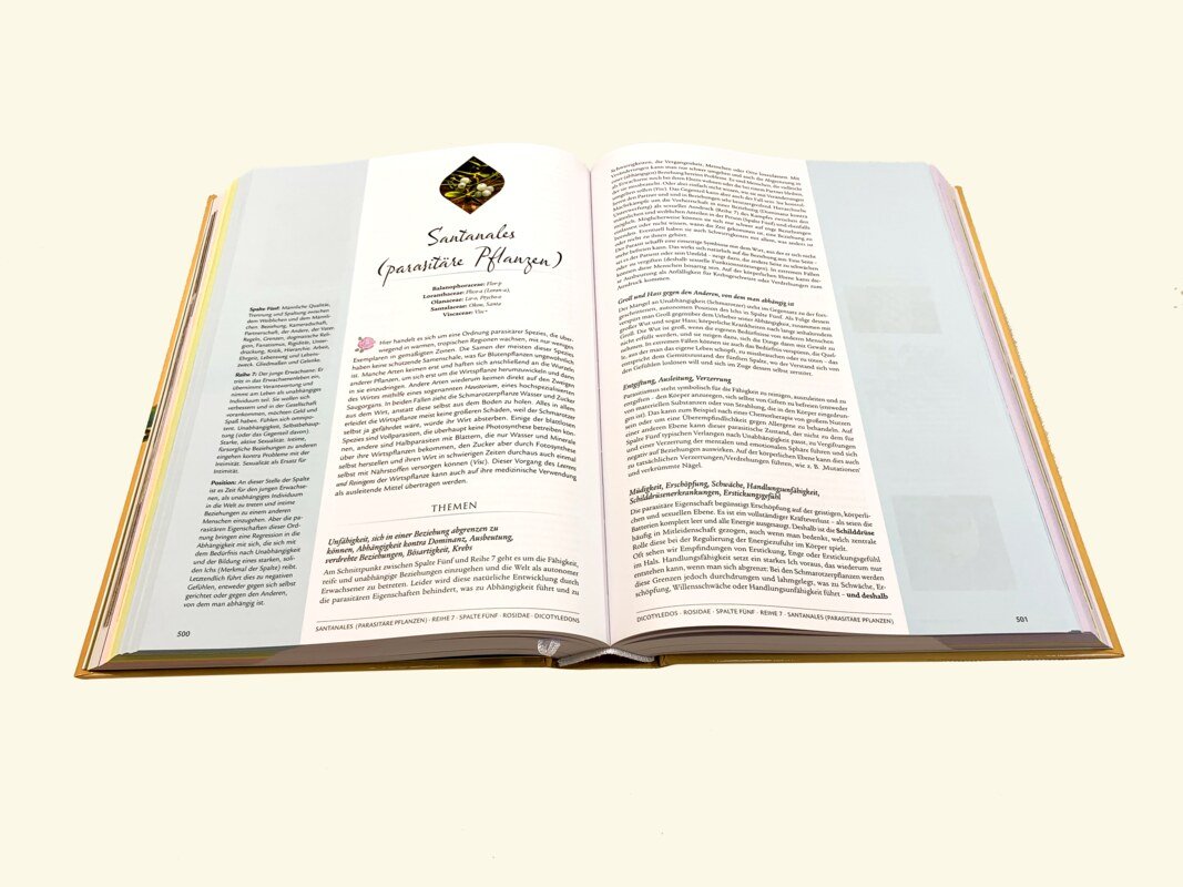 Die wundersame Ordnung der Pflanzen